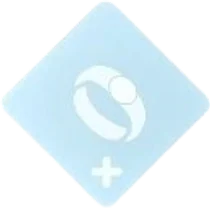 Accessory 1 Slot