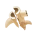 Advanced Animal Bone