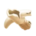 Elite Animal Bone