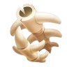 Animal Bone